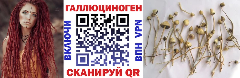 МЕГА зеркало  Дербент  Псилоцибиновые грибы мицелий 